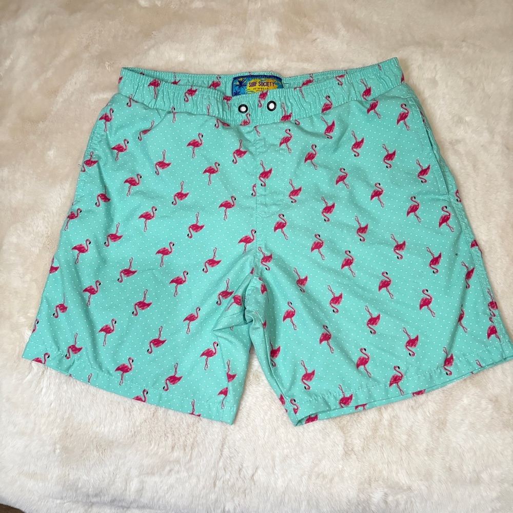 Surf Society Aqua Flamingo Swimwear